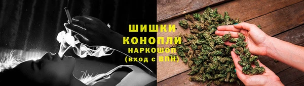 бошки Ельня