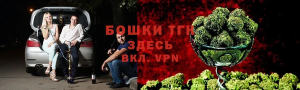 бошки Ельня