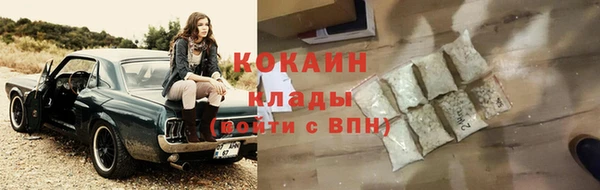 бошки Ельня