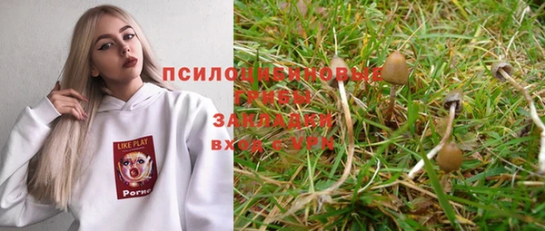 стафф Елабуга