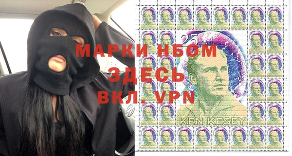 бошки Ельня