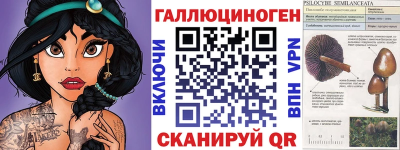 цены наркотик Сретенск Псилоцибиновые грибы Psilocybe